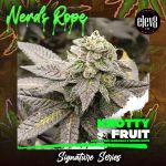 Knotty Fruit Feminisiert Saatgut