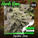 Rope Burn Feminizowany Nasiona