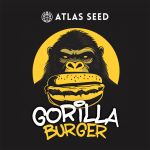 Gorilla Burger strain by Atlas Seed