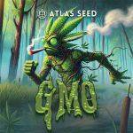 GMO Auto strain by Atlas Seed