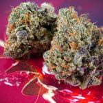 Strawberry Soda Auto by Ducth Passion