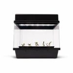 Royal Queen Seeds Autoflowering Starter Kit