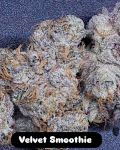 Velvet Smoothie strain by In House Genetics