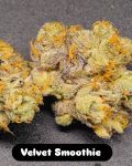 Velvet Smoothie strain by In House Genetics