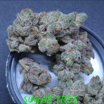 Sugar Tree strain by In House Genetics
