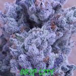 Drip City strain by In House Genetics