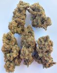 Brume of Incense Feminised strain by Ace Seeds