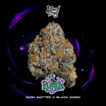 Potion Feminised strain from Wizard Trees