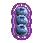 Blueberry Auto Feminizowany Nasiona