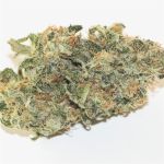 Jack the Ripper Feminised Seeds - 5