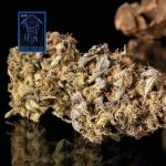 Blue Dream Schnell Feminisiert Saatgut