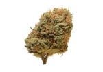 Critical Mass Regular Seeds - 10