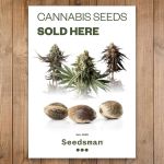 Seedsman Poster - Sold Here (US bundle of 2)