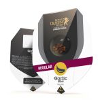 Garlic Mist Régulier Graines - 10