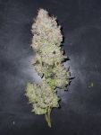 Medtonic CBD Feminised Seeds - 10