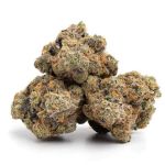 Hasbulla Feminised Seeds - 5