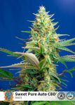 Sweet Pure CBD Auto Feminisiert Samen