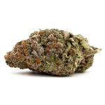 GDP Auto x Gumberry Auto Feminisiert Samen