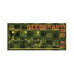 Seedsman CBG #1 Feminized Seeds