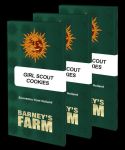Girl Scout Cookies Feminisiert Samen