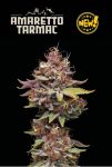 Amaretto Tarmac Feminised Seeds