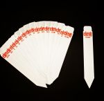 Elev8 Seeds Plant Stake - 1 Unit