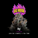 OG Hour strain by Wizard Trees