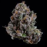 OG Hour strain by Wizard Trees