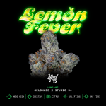 Lemon Fever strain by Wizard Trees
