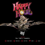 Happy Hour strain by Wizard Trees