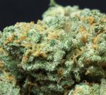 Green Crack cannabis strain from Seedsman