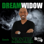 Montel's Dream Widow Feminisiert Samen
