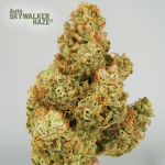 Skywalker Haze Auto Feminizowane Nasiona