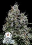Core Damage Feminised Seeds - 5