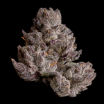 Cauldron Feminised strain by Wizard Trees