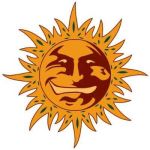 Barney's Farm Sticker Pack - 20 Pack