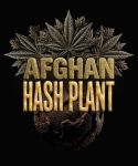 Afghan Hashplant Auto strain from Barney's Farm