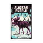 Alaskan Purple Féminisée Semences