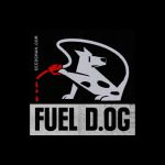 Seedsman Fuel D.OG Feminised strain