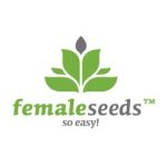 NL Auto Feminised Seeds - 5