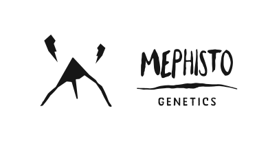 Mephisto