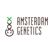 White Choco Haze Feminised Seeds