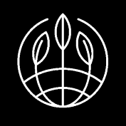 Purple Star CBD Auto Feminised Seeds - 5