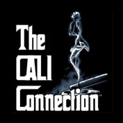 OGiesel Feminised Seeds - 6