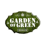 Blue Dream Feminised Seeds