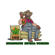 Jack Straw Regular Seeds