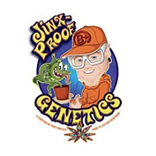 Main Event Regular Seeds - 6