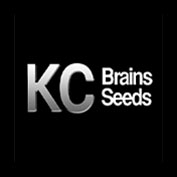 Space Mango Auto Feminised Seeds - 5