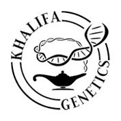 Chebarkul Siberian Ruderalis CBD Auto Regular Seeds - 12