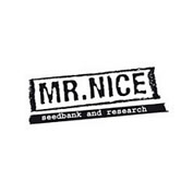 Early Queen x Afghan Haze (Early Haze) Regular Seeds - 18